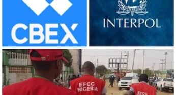 Court Orders Arrest, Remand Of 6 Promoters Of CBEX Ponzi Scheme