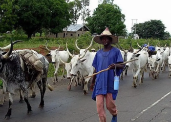 Fulani Herdsmen