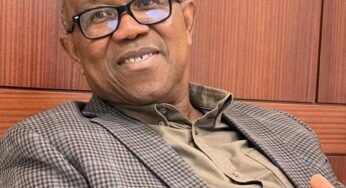 PDP Chieftain Hints On Peter Obi Winning 2027 Presidential Election