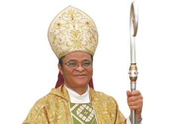 Catholic Bishop Lucius Ugorji