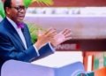 Akinwumi Adesina