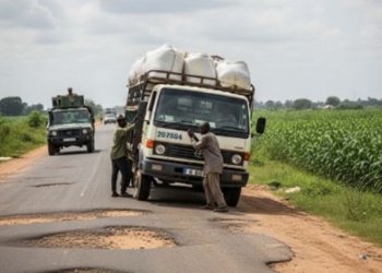 Nigeria’s Agricultural Future