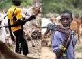 Fulani Herdsmen