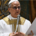 Pope Leo
