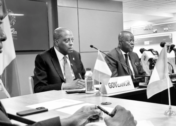 Olayemi Cardoso, Wale Edun