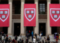 Harvard student visas