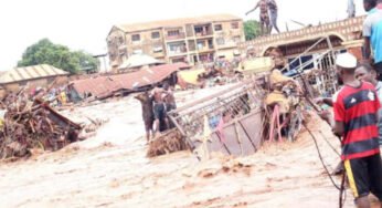 BREAKING: FG Outlines Causes of Devastating Mokwa Flood
