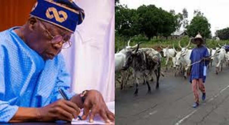 Armed Herders Terrorists