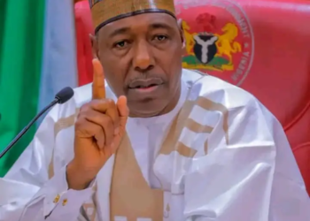 APC Governor, Zulum