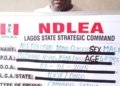 Prophet Adefolusho