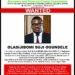 Sujimoto Boss Ogundele