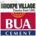 BUA Cement