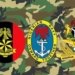 Nigerian Navy and Air Force