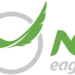 NG Eagle