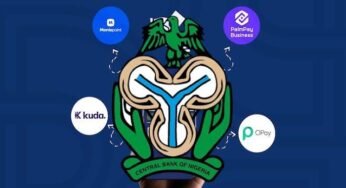 CBN Approves National Operating Licences for Opay, Moniepoint, PalmPay