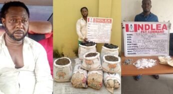 NDLEA Nabs Wanted Drug Lord “Kanmo-kanmo” After 12 Years, Ends Manhunt Over Killing of Officers