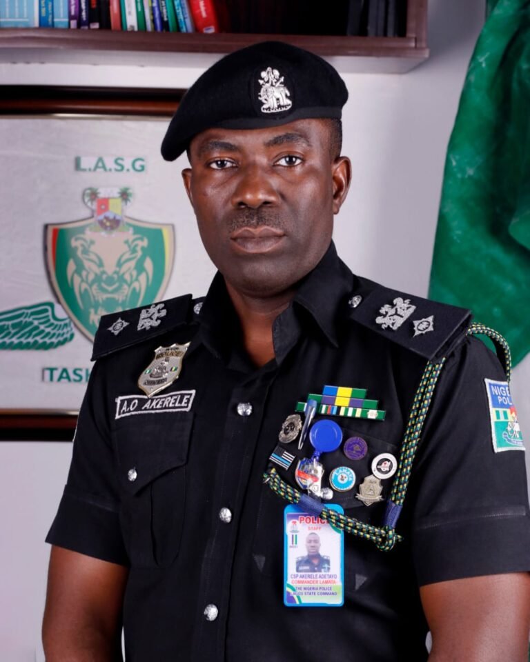 Lagos Taskforce