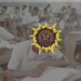 WAEC Timetable 2026