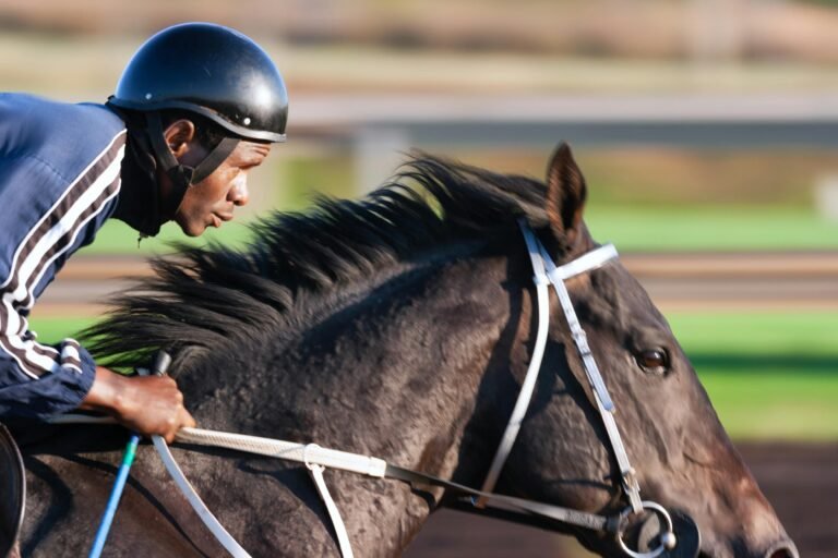 Tote Betting