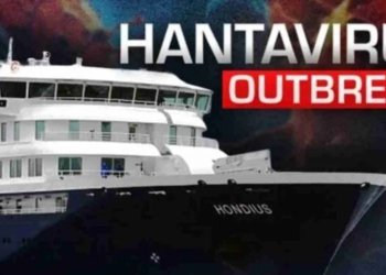 Hantavirus Update Today