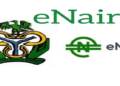 eNaira
