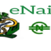 eNaira