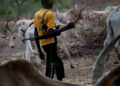 Fulani Herdsmen