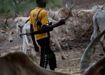 Fulani Herdsmen