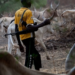 Fulani Herdsmen