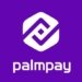 PalmPay