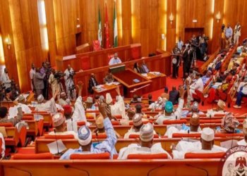 Northern Senators