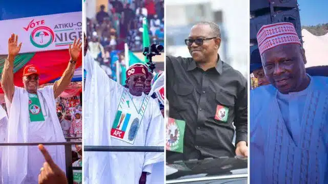 Tinubu, Peter Obi, Atiku, Amaechi, Kwankwaso’s Credentials