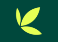 Bamboo App