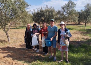 Foued Abrouk (second from right) harvests olives with his family in their Tunisian olive farm.